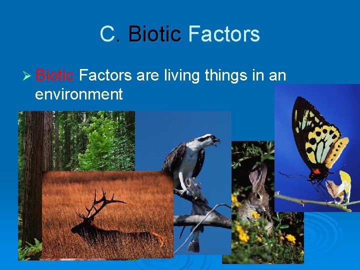 C. Biotic Factors Ø Biotic Factors are living things in an environment 