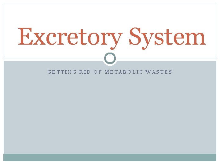 Excretory System GETTING RID OF METABOLIC WASTES 