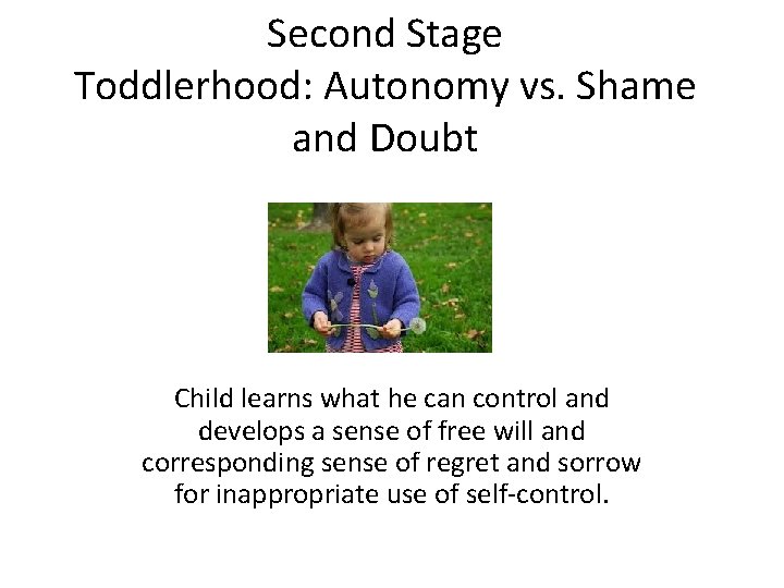 Second Stage Toddlerhood: Autonomy vs. Shame and Doubt Child learns what he can control