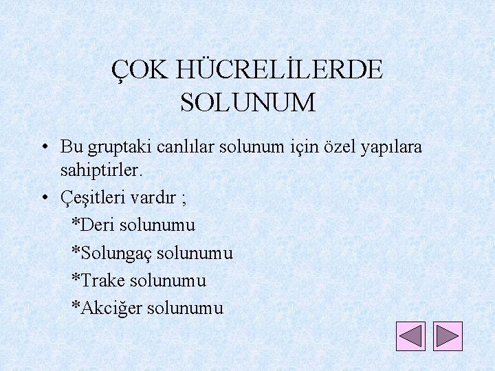 ÇOK HÜCRELİLERDE SOLUNUM • Bu gruptaki canlılar solunum için özel yapılara sahiptirler. • Çeşitleri