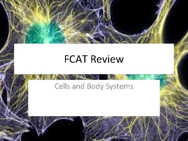 FCAT Review Cells and Body Systems 