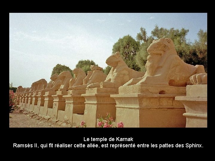 Le temple de Karnak Ramsès II, qui fit réaliser cette allée, est représenté entre