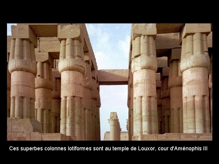 Ces superbes colonnes lotiformes sont au temple de Louxor, cour d'Aménophis III 