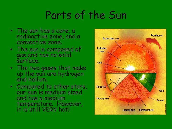 Parts of the Sun • The sun has a core, a radioactive zone, and