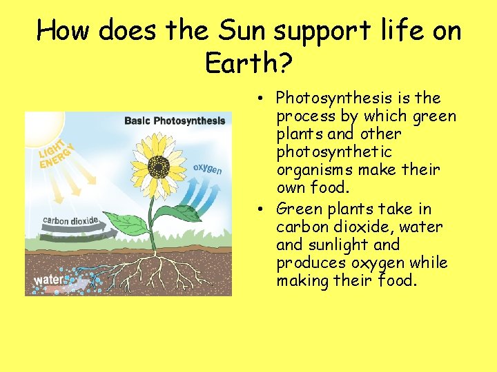 How does the Sun support life on Earth? • Photosynthesis is the process by