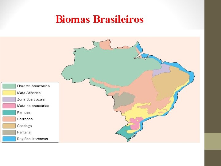 Biomas Brasileiros 