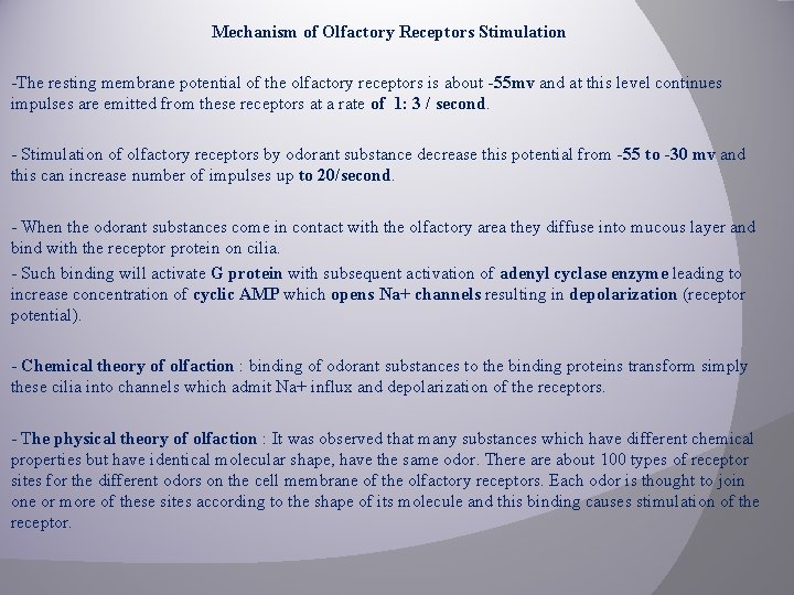 Mechanism of Olfactory Receptors Stimulation -The resting membrane potential of the olfactory receptors is