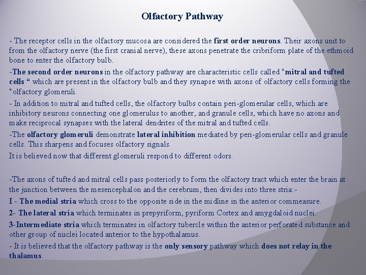 Olfactory Pathway - The receptor cells in the olfactory mucosa are considered the first