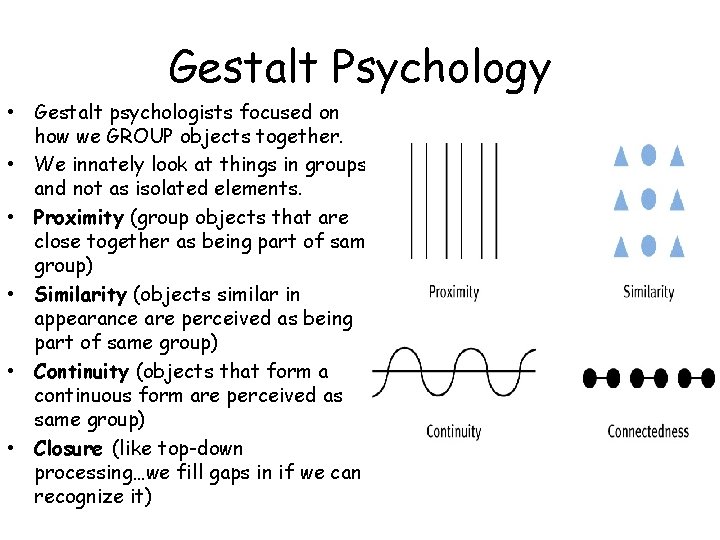 Gestalt Psychology • Gestalt psychologists focused on how we GROUP objects together. • We