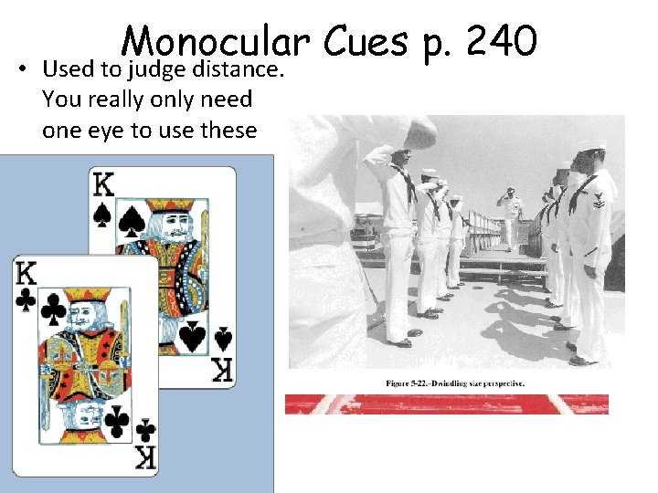 Monocular Cues p. 240 • Used to judge distance. You really only need one