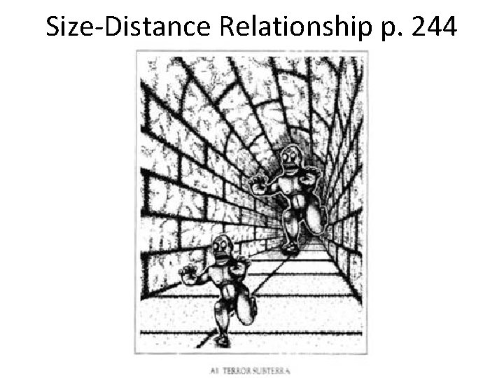 Size-Distance Relationship p. 244 