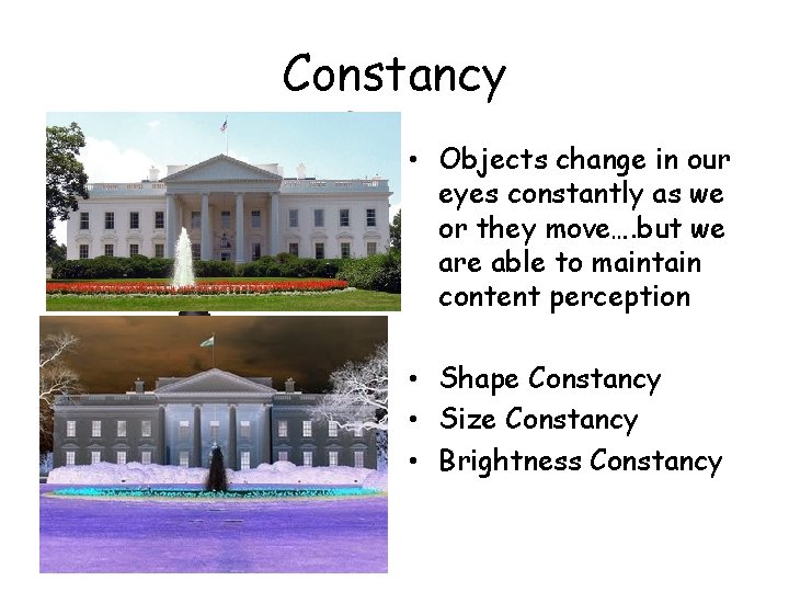 Constancy • Objects change in our eyes constantly as we or they move…. but