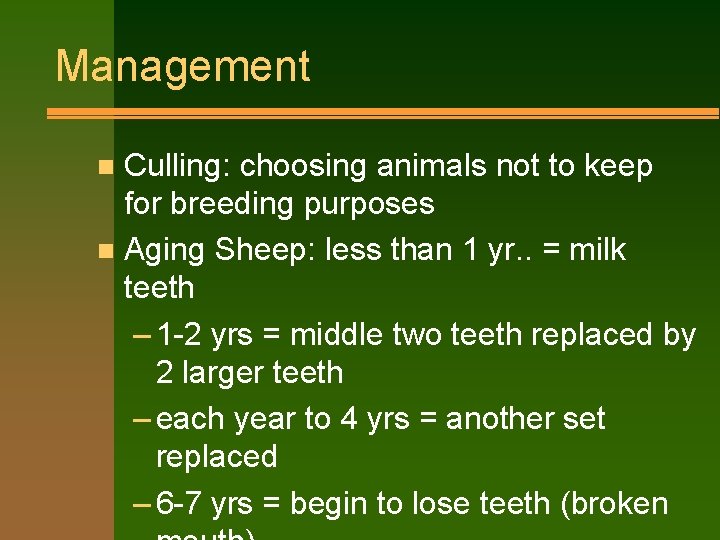 Management Culling: choosing animals not to keep for breeding purposes n Aging Sheep: less