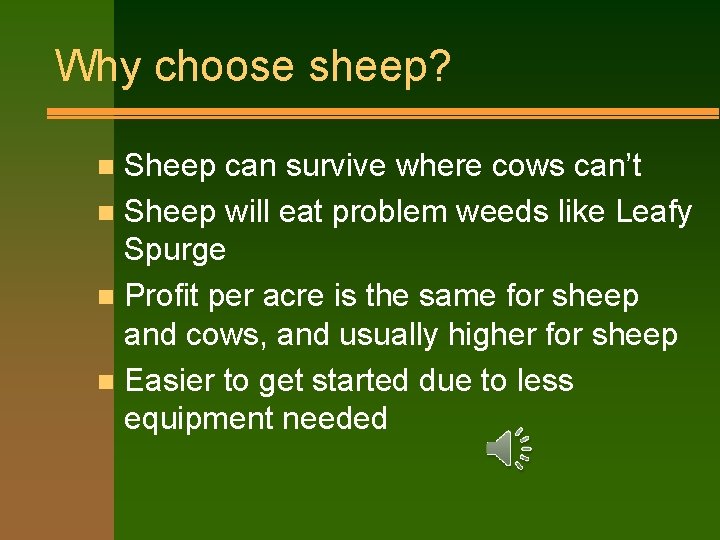 Why choose sheep? Sheep can survive where cows can’t n Sheep will eat problem