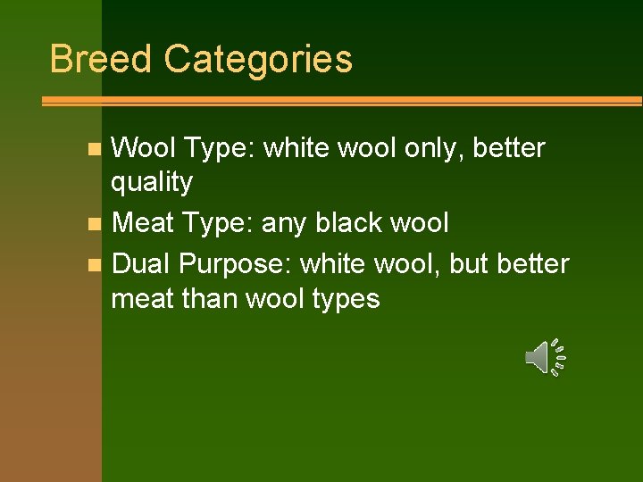 Breed Categories Wool Type: white wool only, better quality n Meat Type: any black