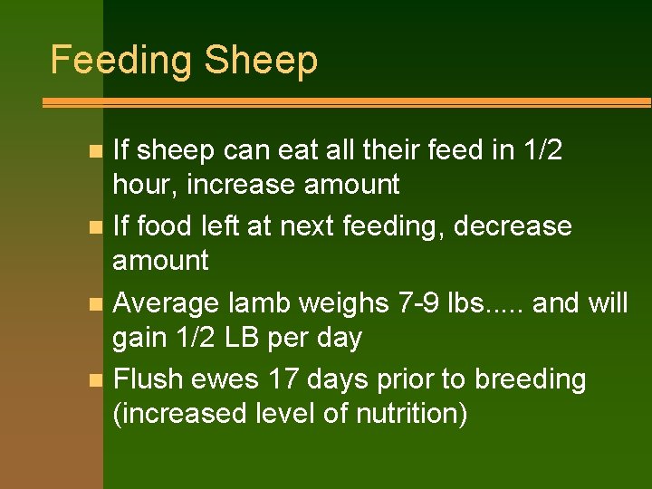 Feeding Sheep If sheep can eat all their feed in 1/2 hour, increase amount