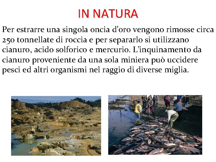 IN NATURA Per estrarre una singola oncia d’oro vengono rimosse circa 250 tonnellate di