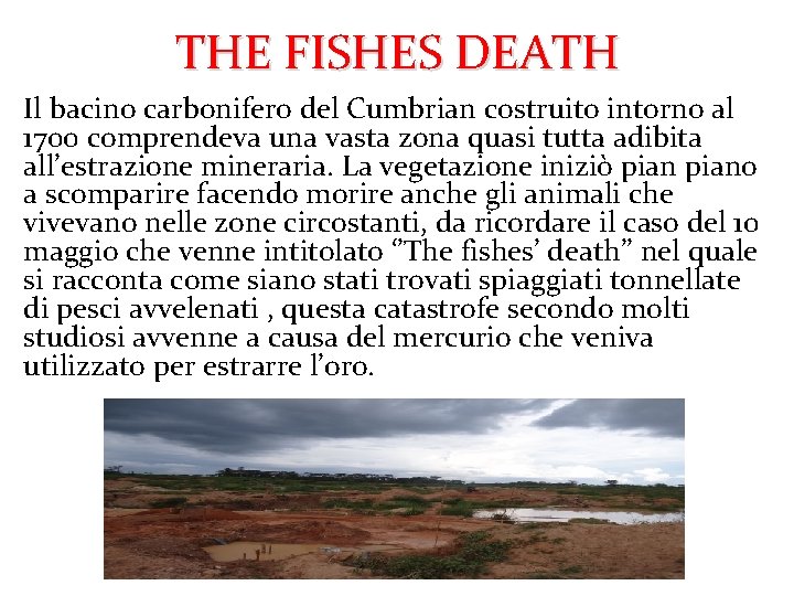 THE FISHES DEATH Il bacino carbonifero del Cumbrian costruito intorno al 1700 comprendeva una
