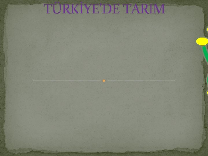 TÜRKİYE’DE TARIM 