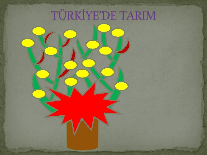 TÜRKİYE’DE TARIM 