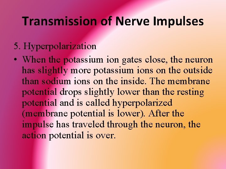 Transmission of Nerve Impulses 5. Hyperpolarization • When the potassium ion gates close, the