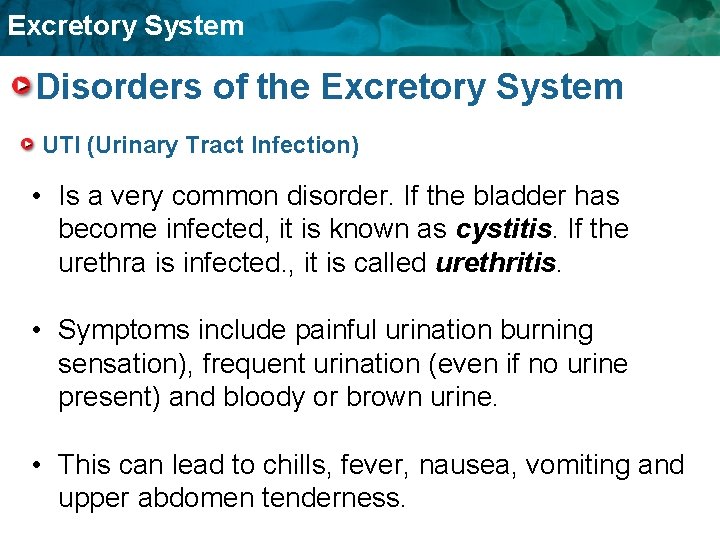 Excretory System Disorders of the Excretory System UTI (Urinary Tract Infection) • Is a