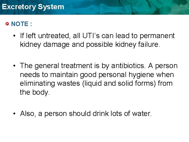 Excretory System NOTE : • If left untreated, all UTI’s can lead to permanent