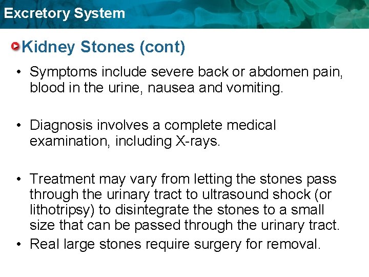 Excretory System Kidney Stones (cont) • Symptoms include severe back or abdomen pain, blood