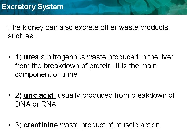 Excretory System The kidney can also excrete other waste products, such as : •
