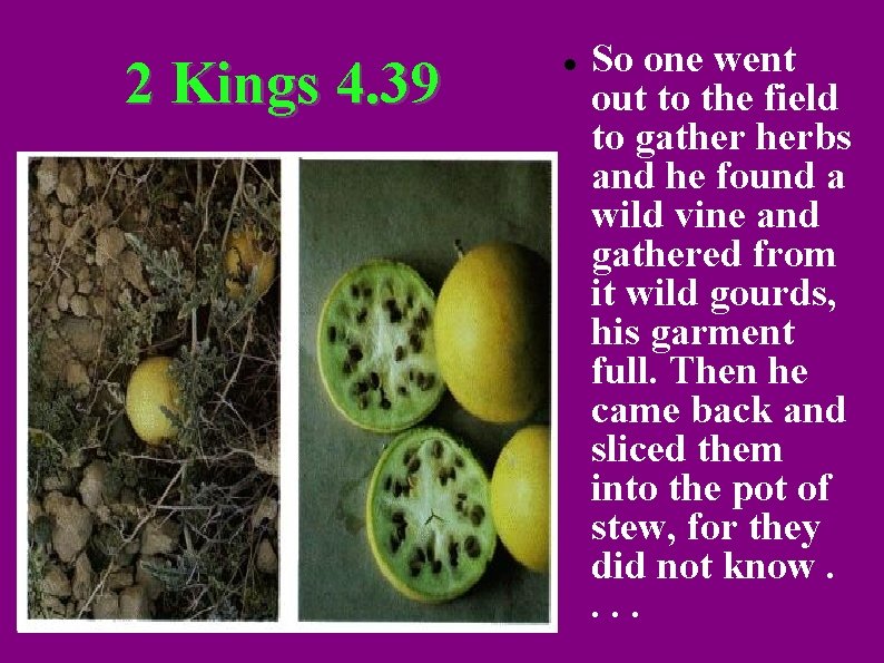 2 Kings 4. 39 So one went out to the field to gather herbs