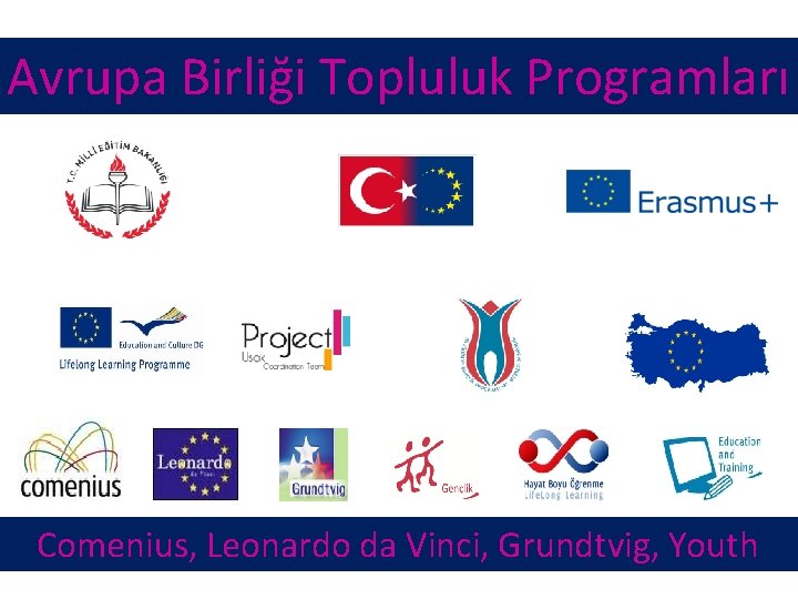 Avrupa Birliği Topluluk Programları Comenius, Leonardo da Vinci, Grundtvig, Youth 