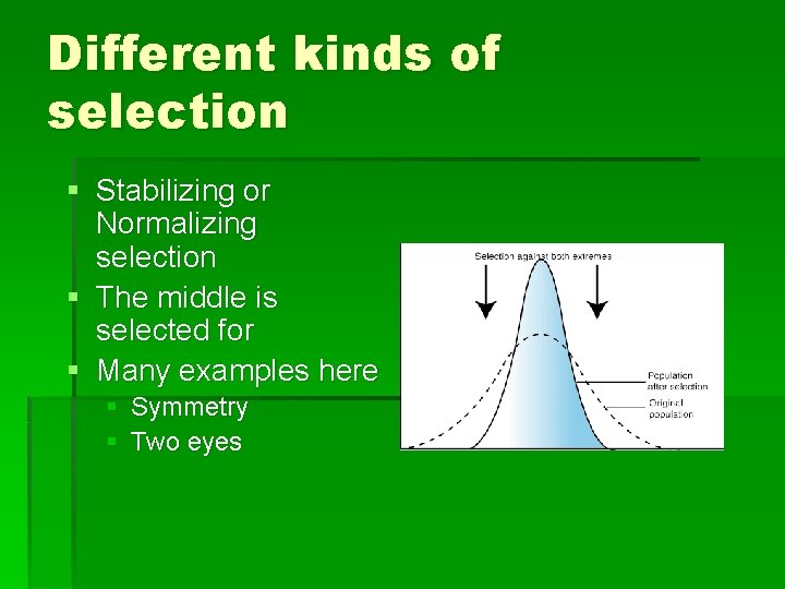 Different kinds of selection § Stabilizing or Normalizing selection § The middle is selected