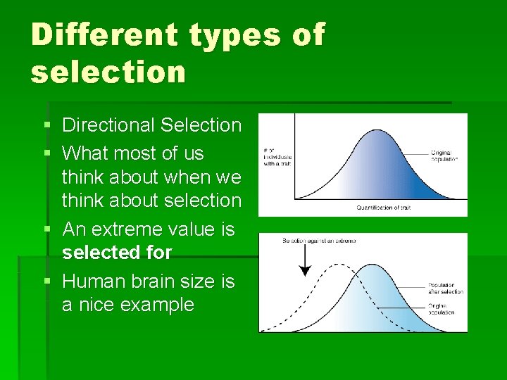 Different types of selection § Directional Selection § What most of us think about