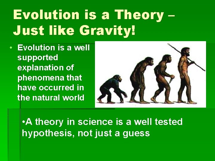 Evolution is a Theory – Just like Gravity! • Evolution is a well supported