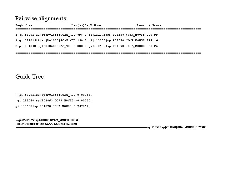 Pairwise alignments: Seq. A Name Len(aa)Seq. B Name Len(aa) Score ================================================== 1 gi|62901522|sp|P 01865|GCAM_MOU