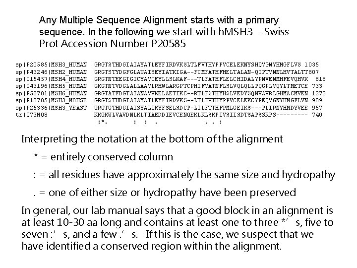 Any Multiple Sequence Alignment starts with a primary sequence. In the following we start