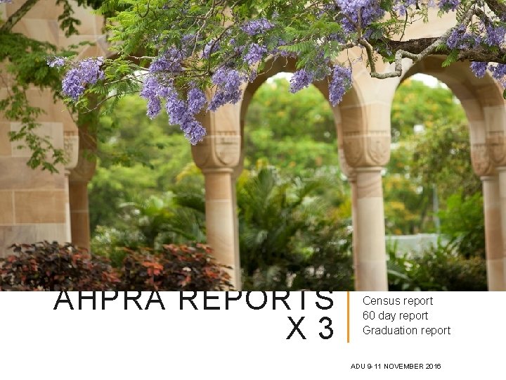 AHPRA REPORTS X 3 Census report 60 day report Graduation report ADU 9 -11