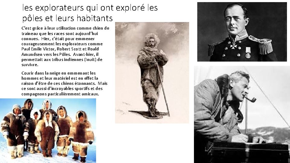 les explorateurs qui ont exploré les pôles et leurs habitants C’est grâce à leur