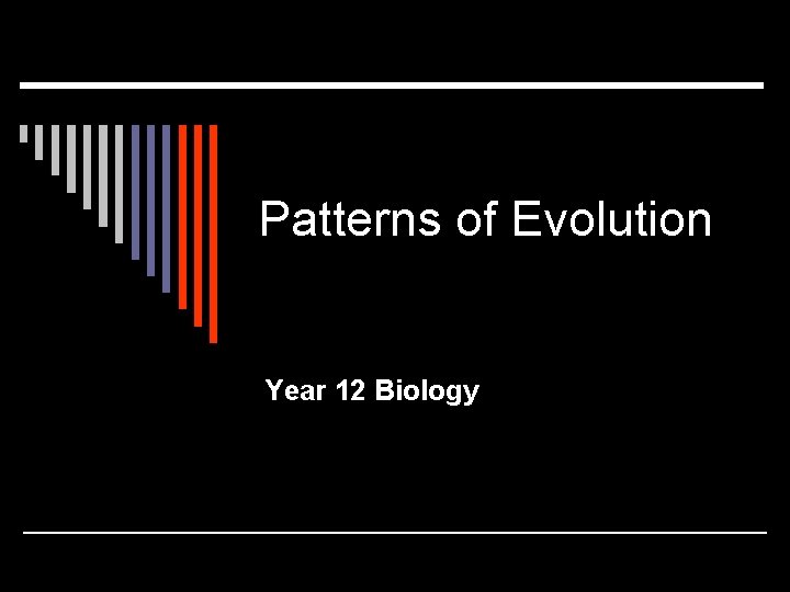 Patterns of Evolution Year 12 Biology 