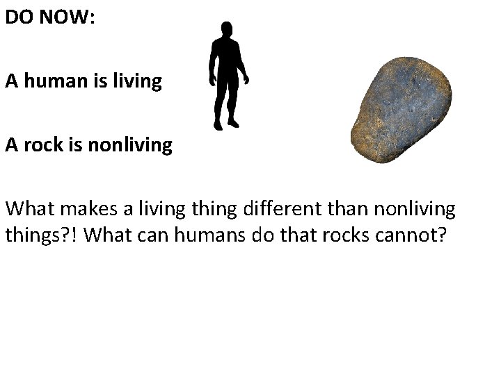 DO NOW A human is living A rock