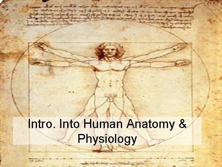 Intro. Into Human Anatomy & Physiology 