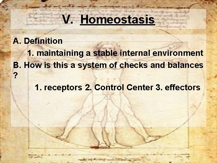 V. Homeostasis A. Definition 1. maintaining a stable internal environment B. How is this