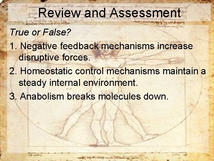 Review and Assessment True or False? 1. Negative feedback mechanisms increase disruptive forces. 2.