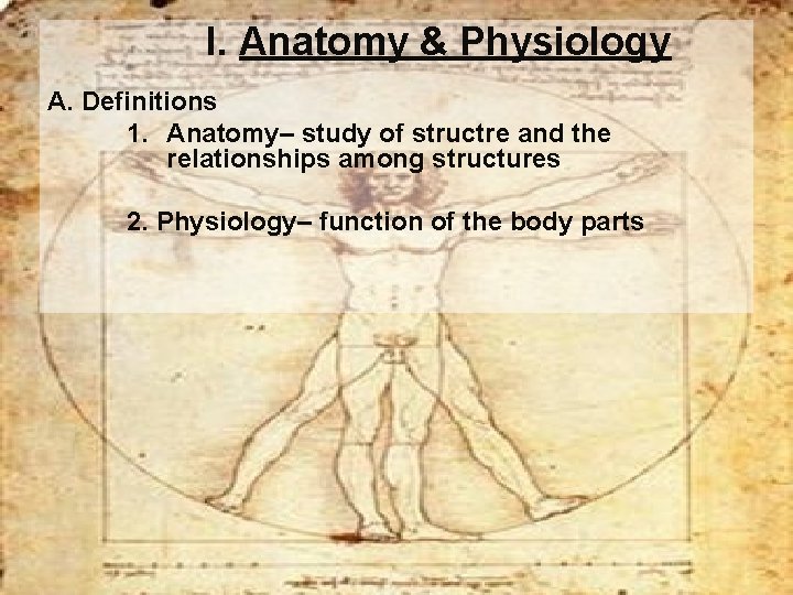 I. Anatomy & Physiology A. Definitions 1. Anatomy– study of structre and the relationships