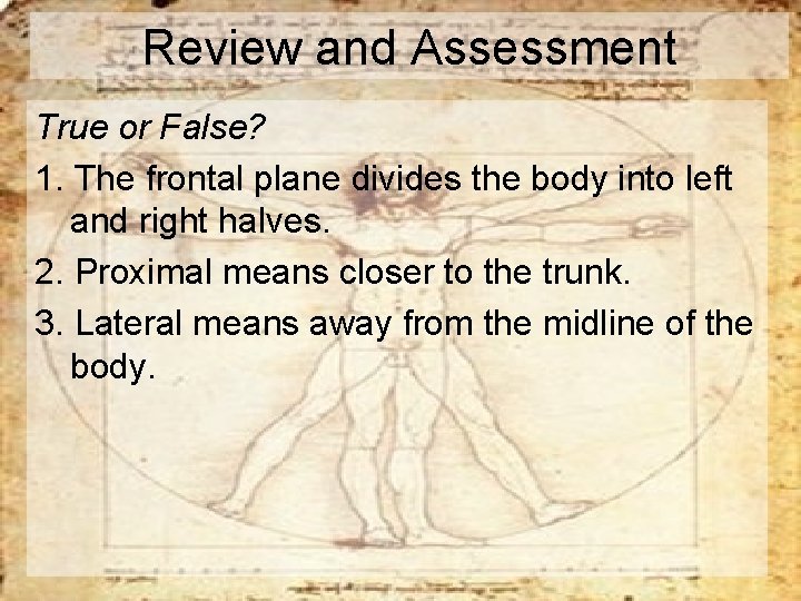 Review and Assessment True or False? 1. The frontal plane divides the body into