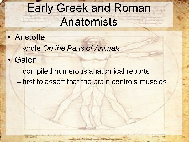 Early Greek and Roman Anatomists • Aristotle – wrote On the Parts of Animals