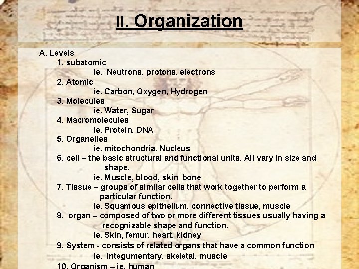 II. Organization A. Levels 1. subatomic ie. Neutrons, protons, electrons 2. Atomic ie. Carbon,