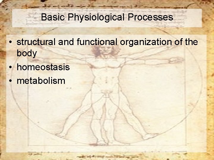 Basic Physiological Processes • structural and functional organization of the body • homeostasis •