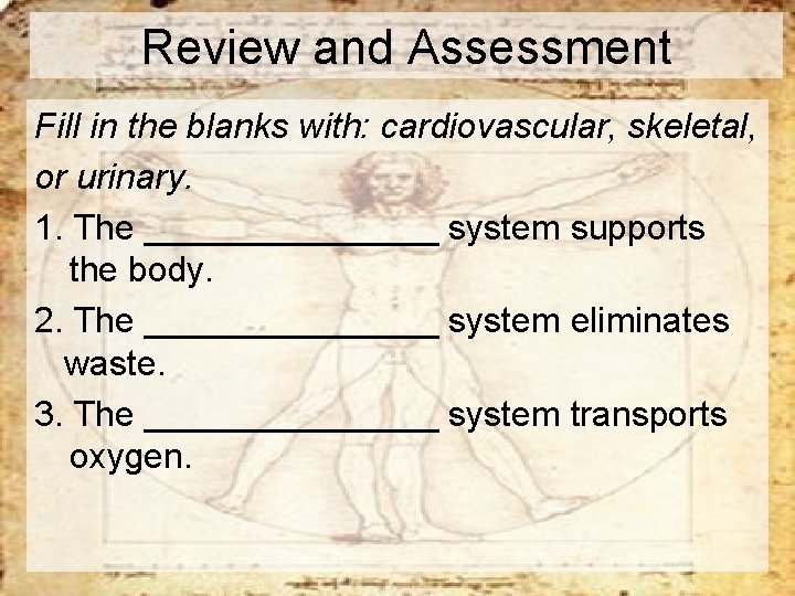 Review and Assessment Fill in the blanks with: cardiovascular, skeletal, or urinary. 1. The