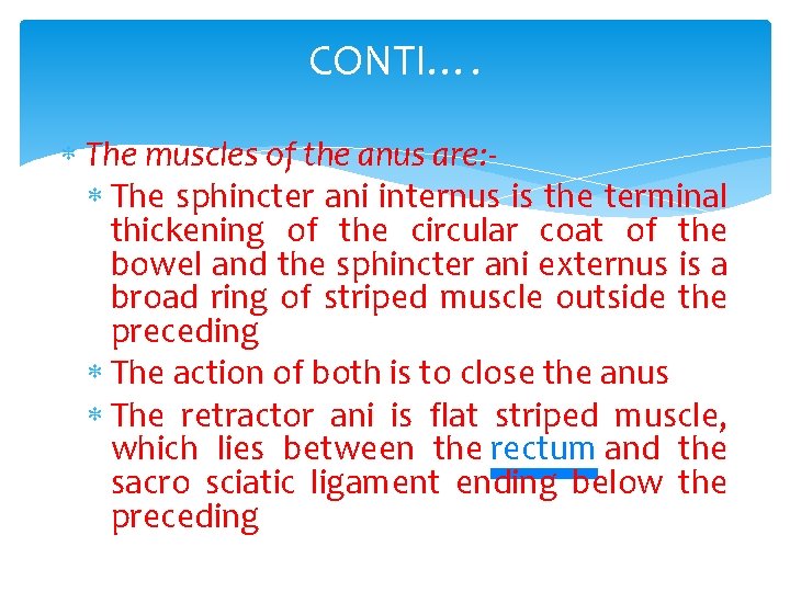 CONTI…. The muscles of the anus are: The sphincter ani internus is the terminal